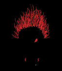 Doner Haus Franchising LLC logo